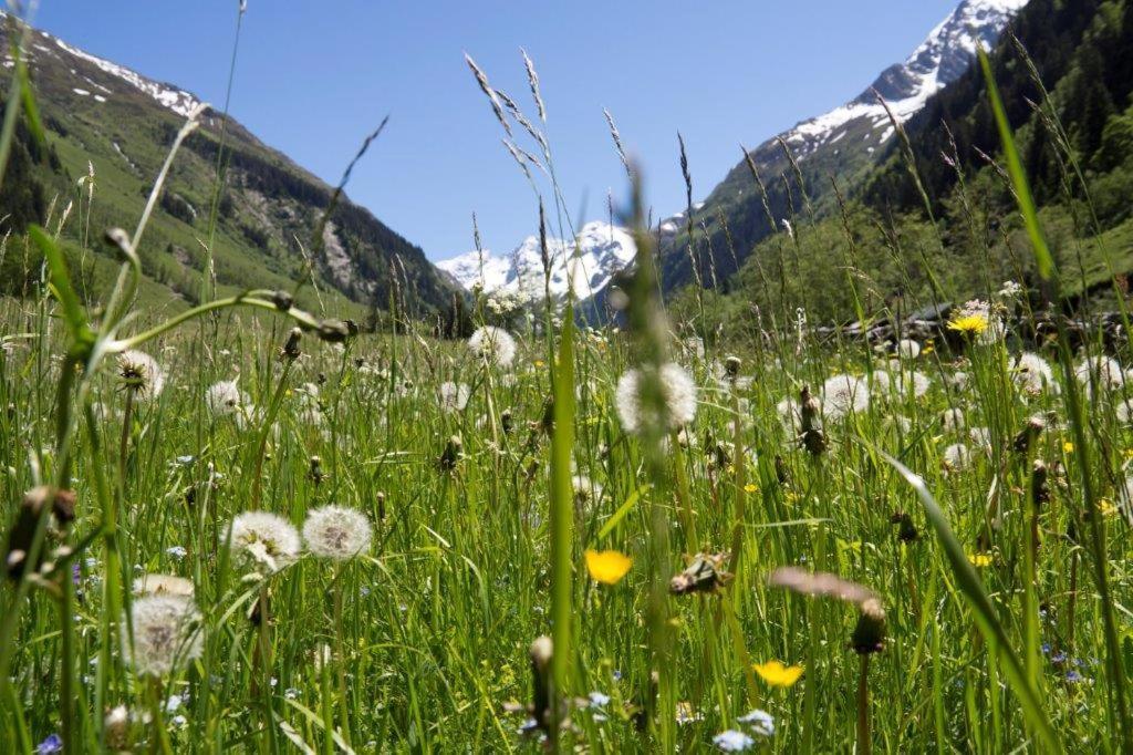 Neuhaushof Διαμέρισμα Hollersbach im Pinzgau Εξωτερικό φωτογραφία