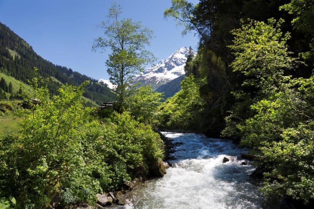 Neuhaushof Διαμέρισμα Hollersbach im Pinzgau Εξωτερικό φωτογραφία