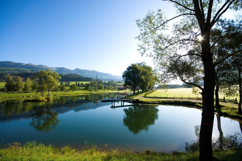 Neuhaushof Διαμέρισμα Hollersbach im Pinzgau Εξωτερικό φωτογραφία