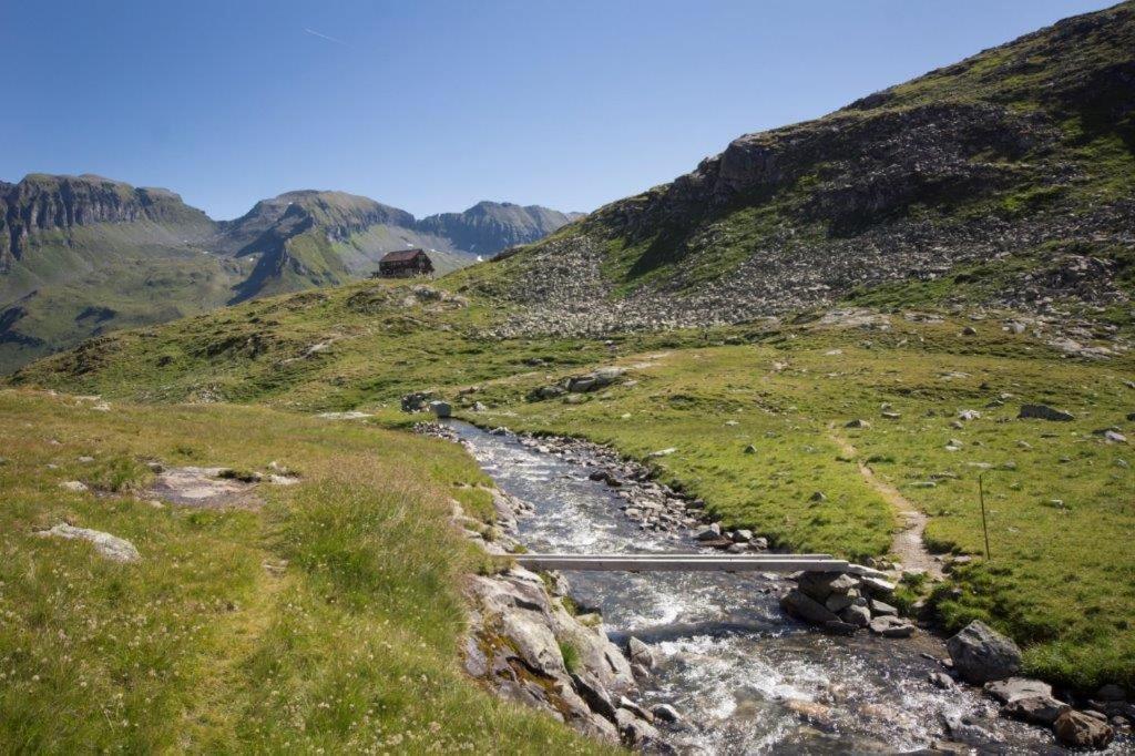 Neuhaushof Διαμέρισμα Hollersbach im Pinzgau Εξωτερικό φωτογραφία