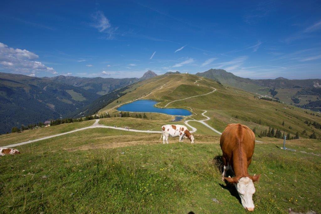 Neuhaushof Διαμέρισμα Hollersbach im Pinzgau Εξωτερικό φωτογραφία
