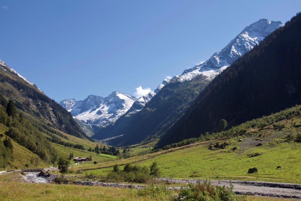 Neuhaushof Διαμέρισμα Hollersbach im Pinzgau Εξωτερικό φωτογραφία